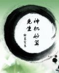 先生神机妙算