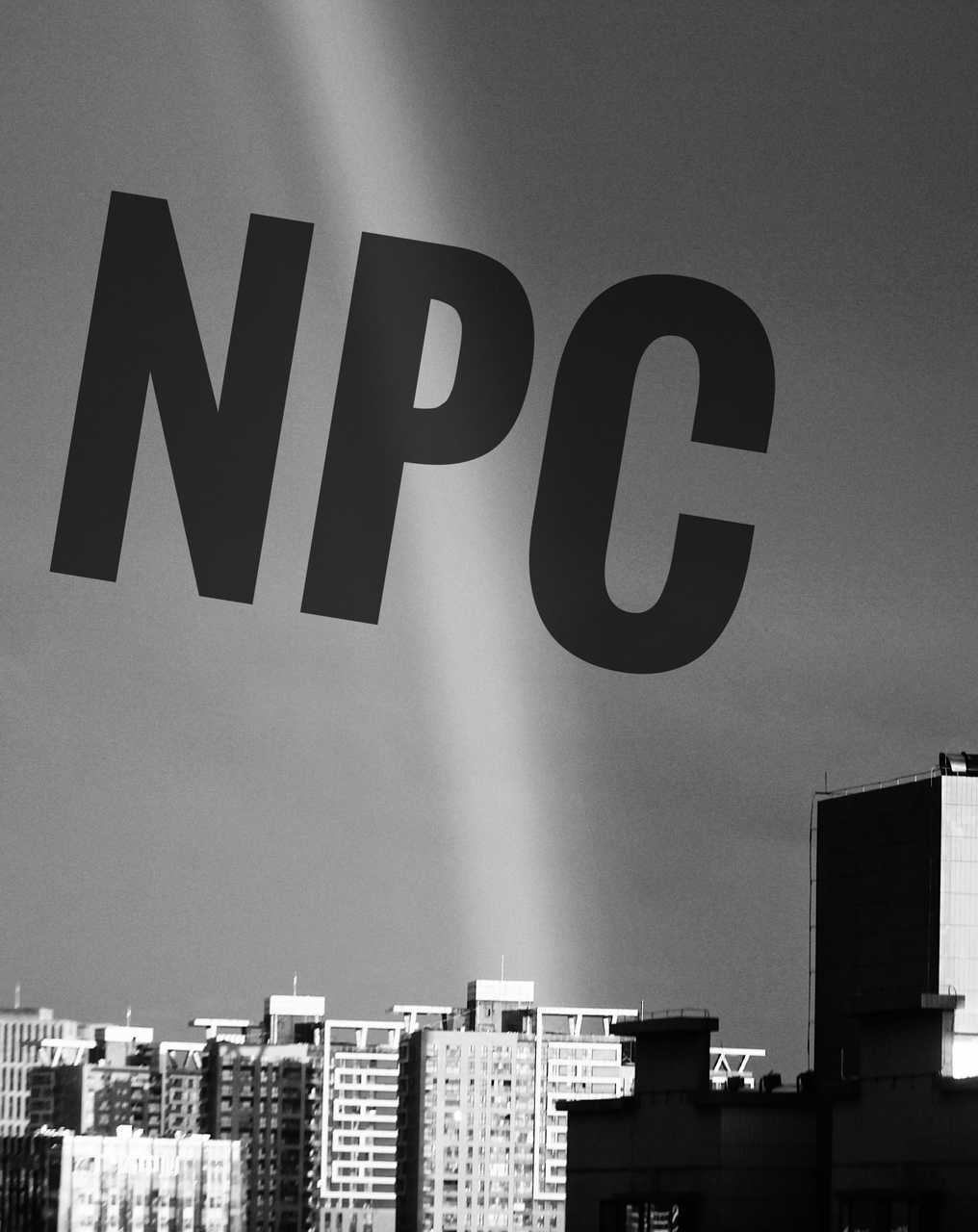 NPC（非玩家角色）作品封面