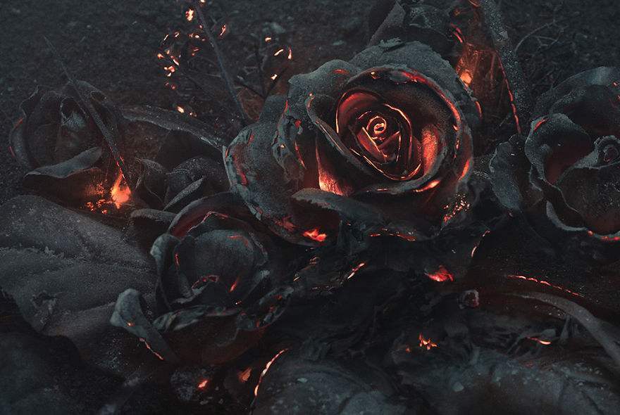 黑玫瑰作品封面