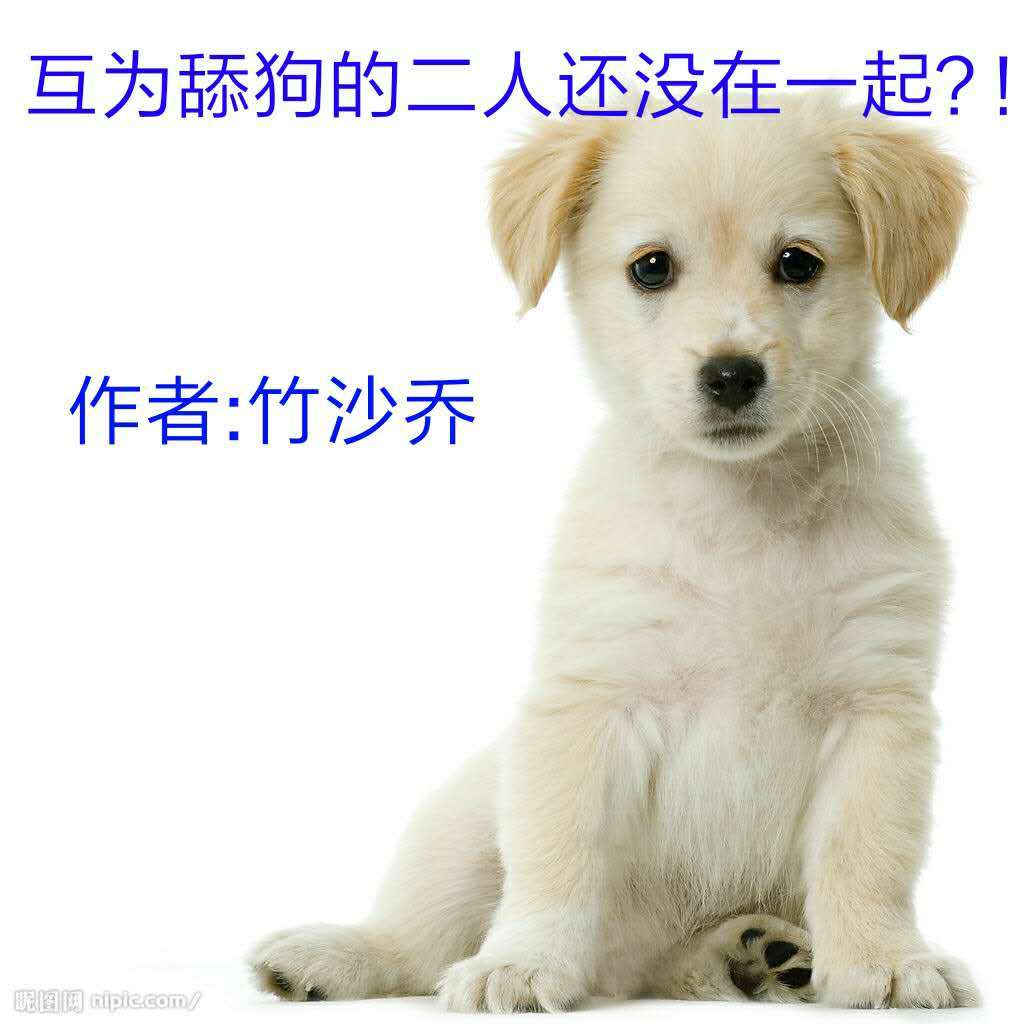 互为舔狗的二人还没在一起？！
