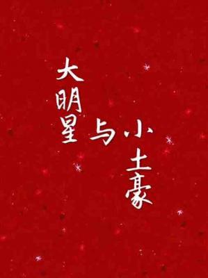 大明星与小土豪