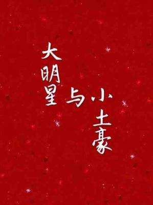 大明星与小土豪作品封面