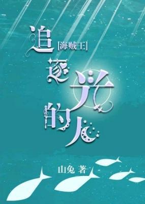 [海贼王]追逐光的人作品封面