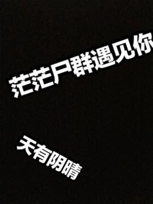 茫茫尸群遇见你作品封面