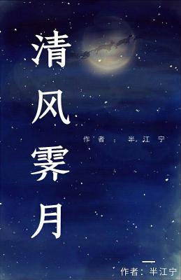 清风霁月作品封面