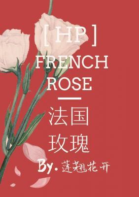 HP 法国玫瑰作品封面