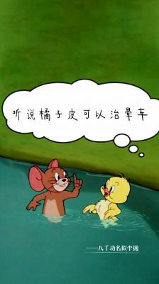 听说橘子皮可以治晕车【ABO】作品封面