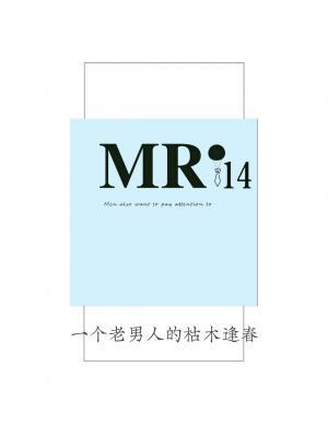 Mr.14作品封面
