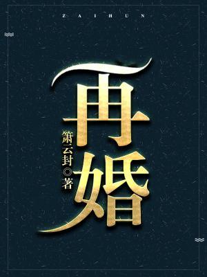 再婚作品封面