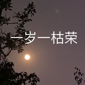 一岁一枯荣_勾栏闲诗著_长佩文学网