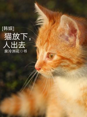 [韩娱]猫放下，人出去作品封面