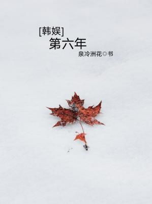 [韩娱]第六年作品封面