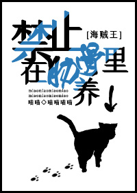 [海贼王]禁止在肋骨里养猫作品封面