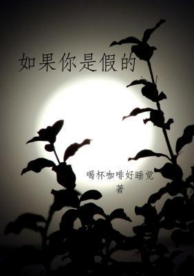 如果你是假的