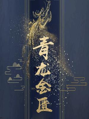青龙金匮Ⅱ作品封面