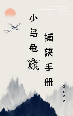 小乌龟捕获手册