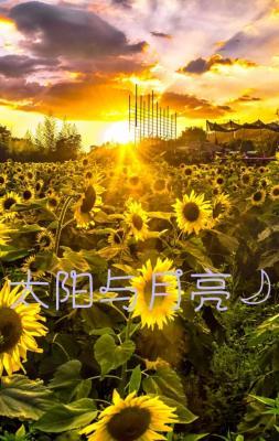 太阳与月亮?