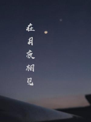 在月夜相见作品封面