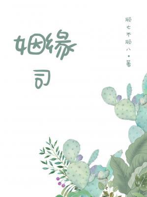 姻缘司作品封面