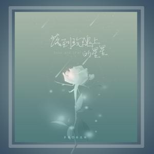 落到玫瑰上的星星
