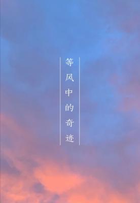 等风中的奇迹