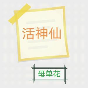 活神仙作品封面