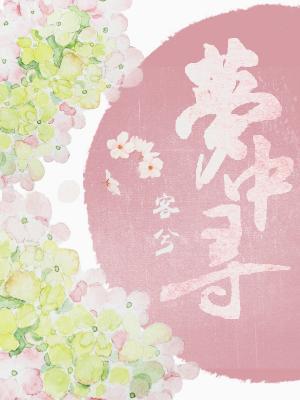 梦中寻