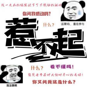 惹不起