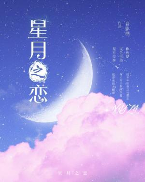 星月之恋（娱乐圈）作品封面