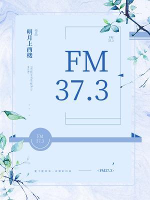 FM37.3作品封面