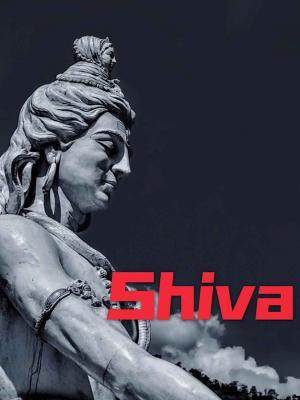Shiva作品封面