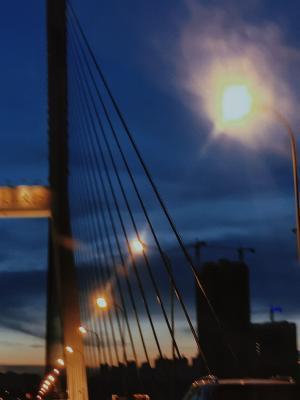 生存游戏