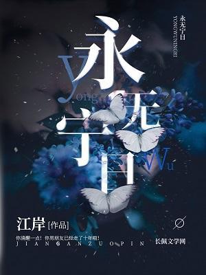 永无宁日作品封面