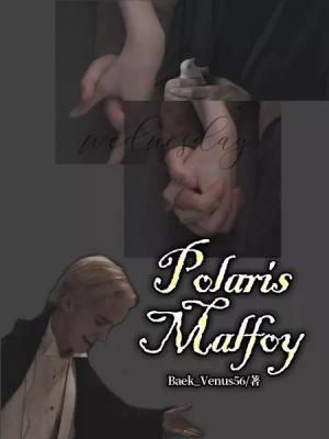 Polaris Malfoy作品封面