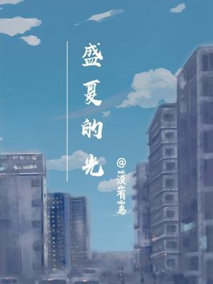 盛夏的光作品封面