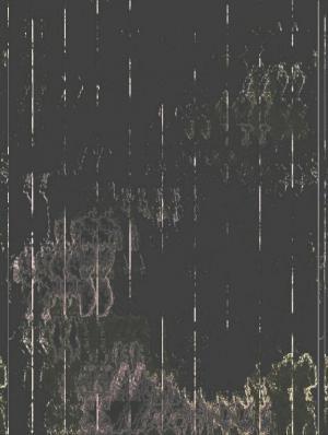 雨夜