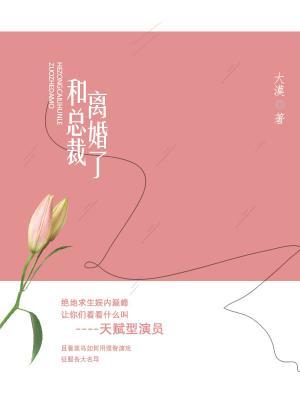 和总裁离婚了作品封面