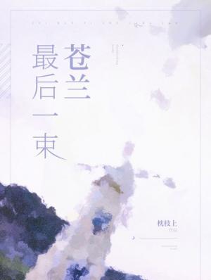 最后一束苍兰作品封面