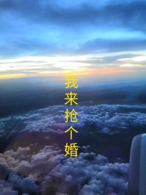 我来抢个婚（gl）