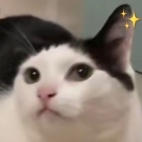 随笔