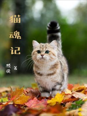 猫魂记