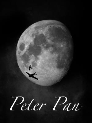 [银英] Peter Pan作品封面