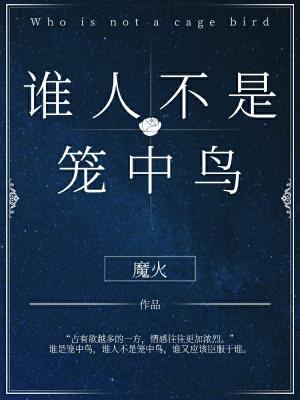 谁人不是笼中鸟作品封面