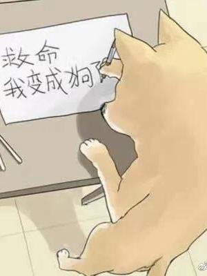 抓住你了（短佩完结）