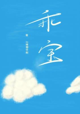 乖宝作品封面