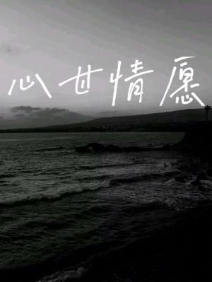 心甘情愿作品封面