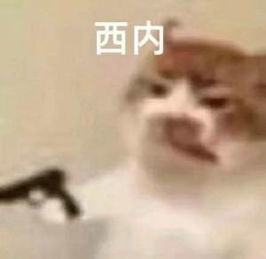 可爱呆檬唱双簧