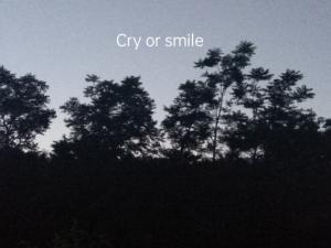 Cry or smile作品封面