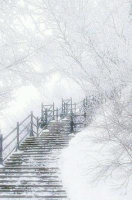 挚友如雪