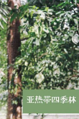 亚热带四季林作品封面